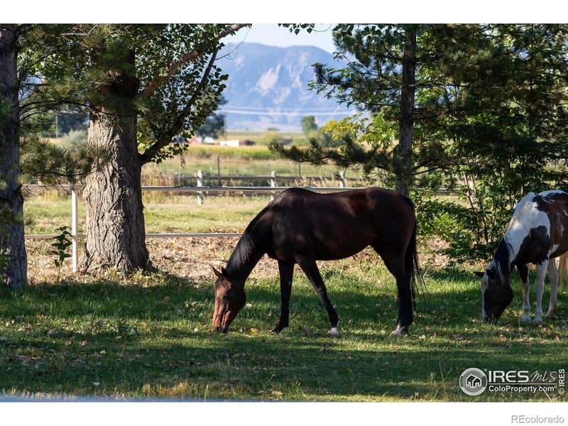 9741 Isabelle Rd, Lafayette, CO 80026