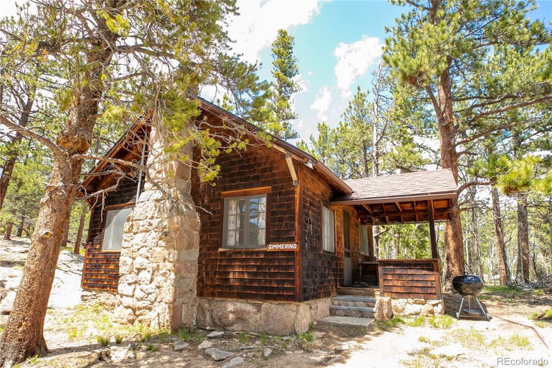 84 County Road 113n, Allenspark, CO 80510