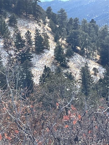 752 County Road 16, Cotopaxi, CO 81223