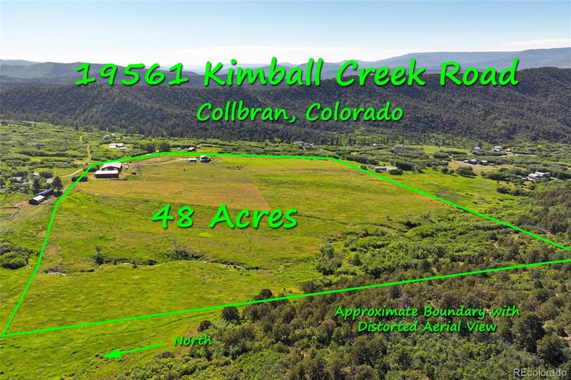 19561 Kimball Creek Rd, Collbran, CO 81624