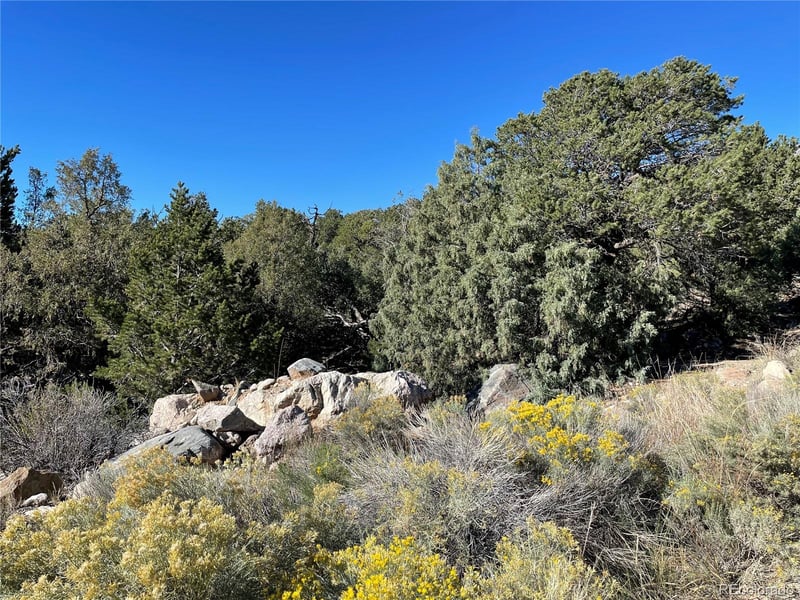 1919 Lone Pine Way, Crestone, CO 81131