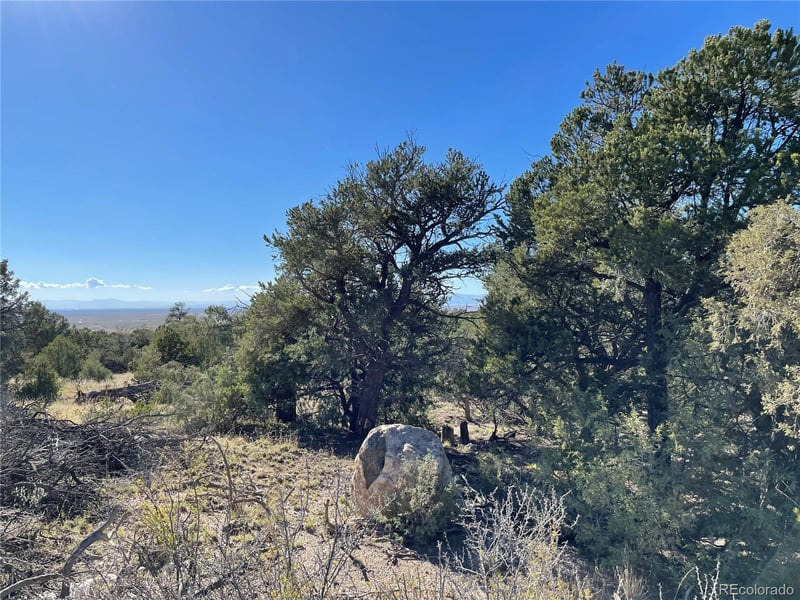 1919 Lone Pine Way, Crestone, CO 81131