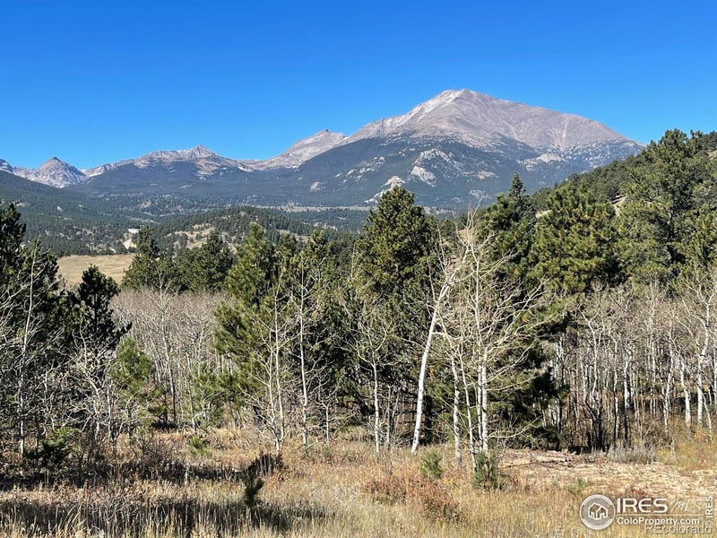16744 Peak To Peak Hw, Allenspark, CO 80510