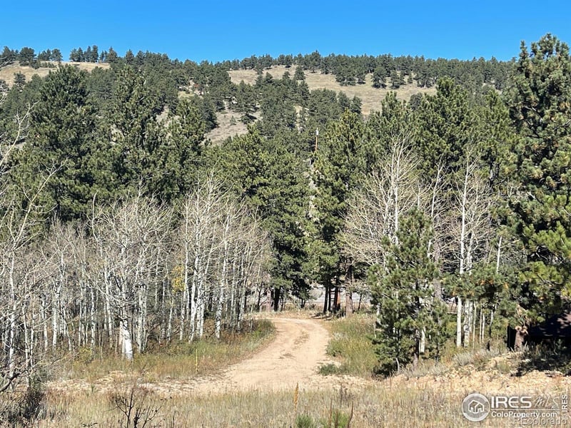 16744 Peak To Peak Hw, Allenspark, CO 80510