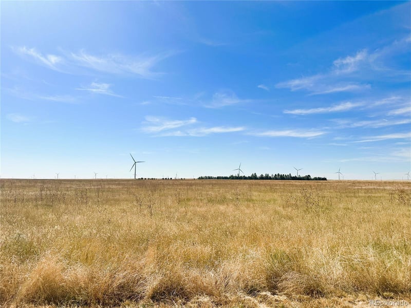 562 57 Acres Lincoln County, Genoa, CO 80818