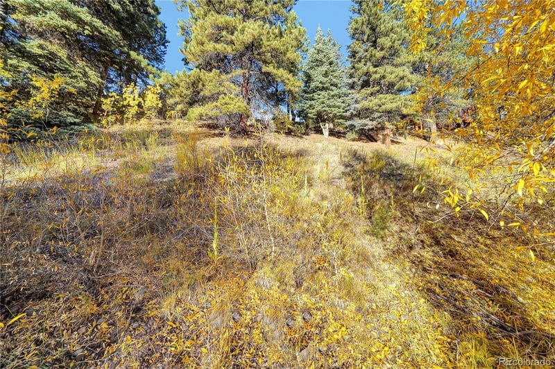 44 River Run Dr Lot 44, Antonito, CO 81120