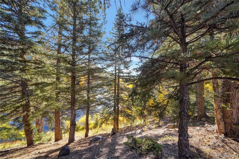 44 River Run Dr Lot 44, Antonito, CO 81120