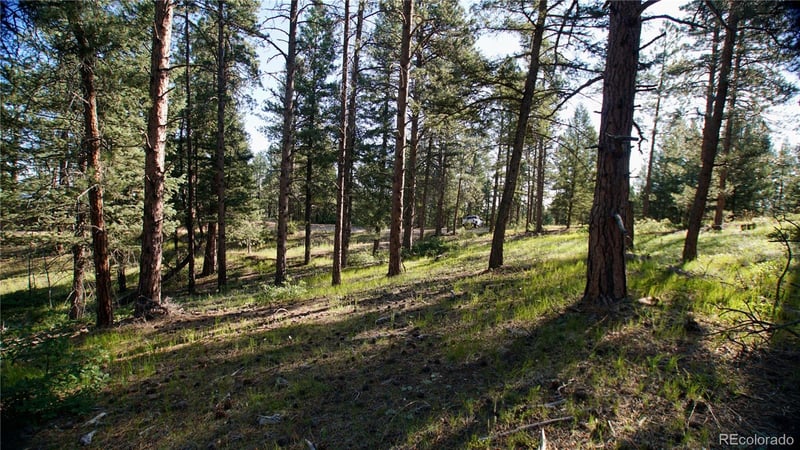 104 N County Highway 67, Sedalia, CO 80135
