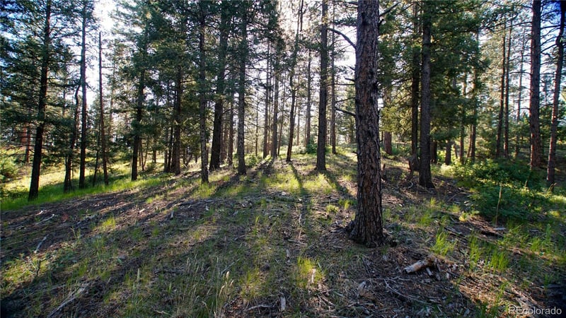 104 N County Highway 67, Sedalia, CO 80135