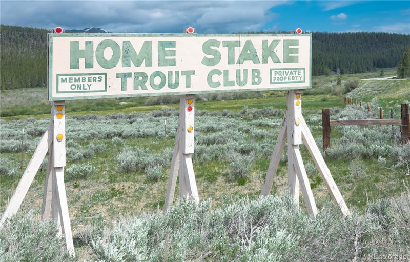 649 County Rd #21 #38, Leadville, CO 80461