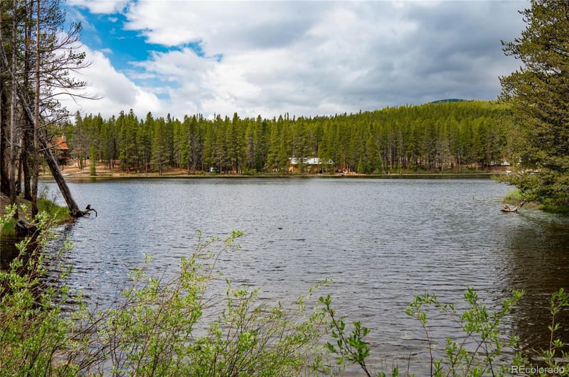 649 County Rd #21 #38, Leadville, CO 80461