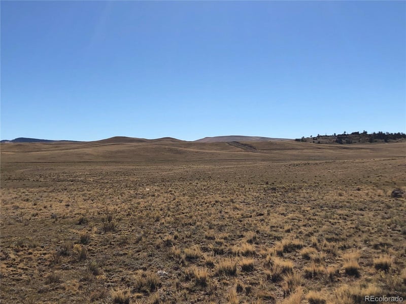 2972 Jumano Trl, Hartsel, CO 80449