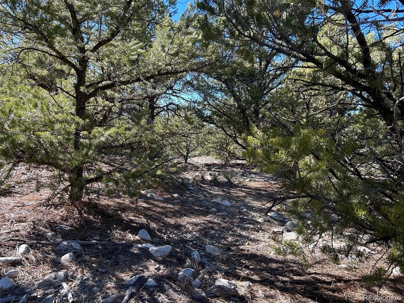 25 Pioneer Rd, Mosca, CO 81144