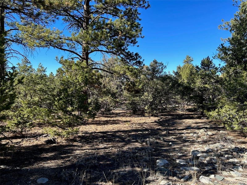 25 Pioneer Rd, Mosca, CO 81144