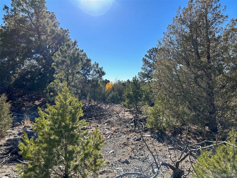 25 Pioneer Rd, Mosca, CO 81144