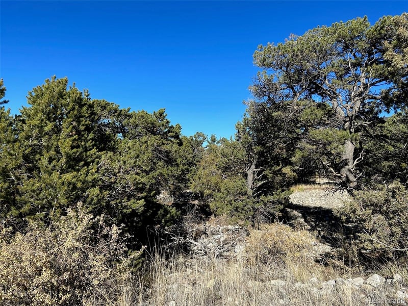 03 Mill Run Rd, Mosca, CO 81146