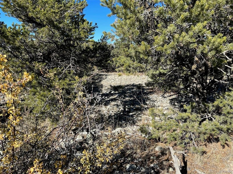 03 Mill Run Rd, Mosca, CO 81146