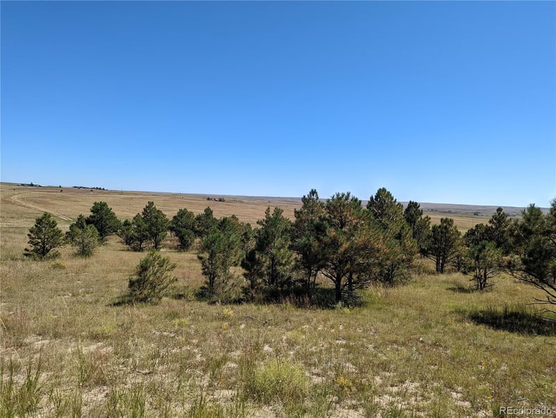 0 County Road 89 Lot 1, Ramah, CO 80832