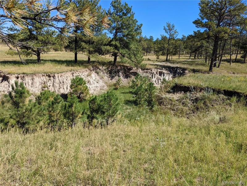 00 County Road 89 Lot 2, Ramah, CO 80832