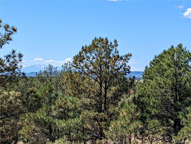00 County Road 89 Lot 2, Ramah, CO 80832