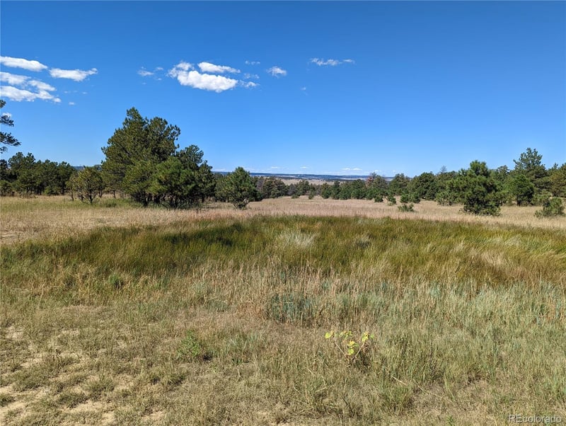00 County Road 89 Lot 2, Ramah, CO 80832