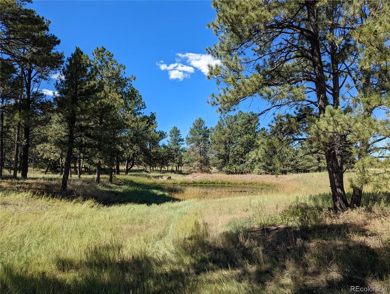 00 County Road 89 Lot 2, Ramah, CO 80832