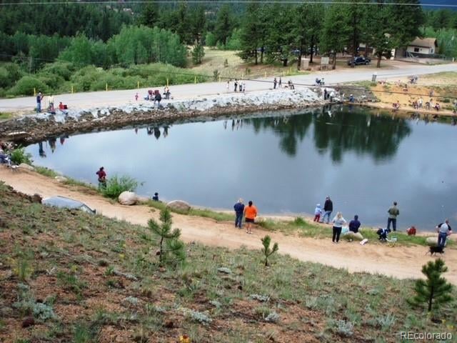 98 Wilkins Rd, Bailey, CO 80421