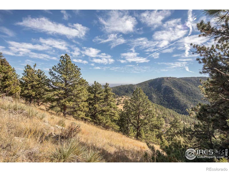 745 Nugget Hill Rd, Jamestown, CO 80455