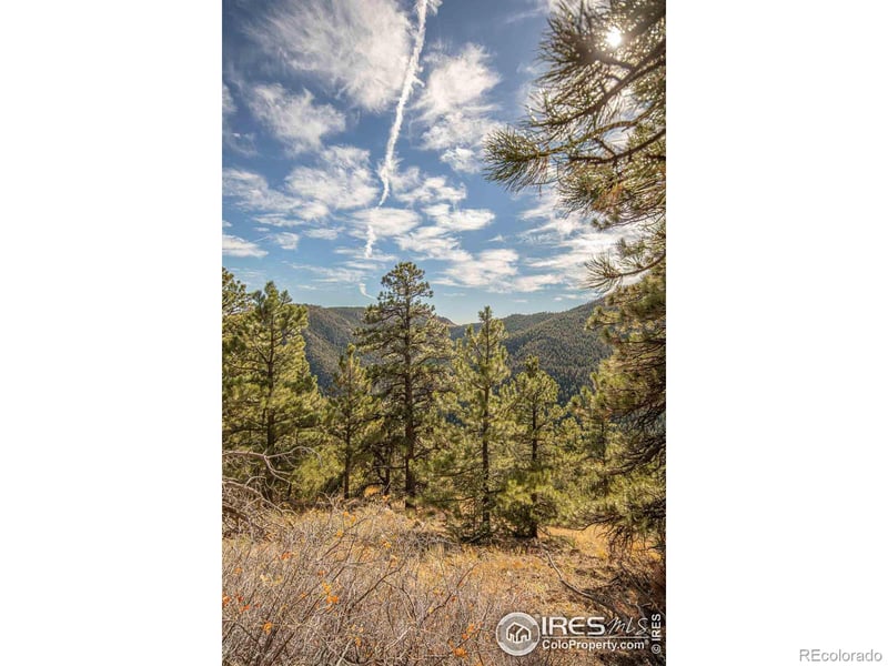 745 Nugget Hill Rd, Jamestown, CO 80455