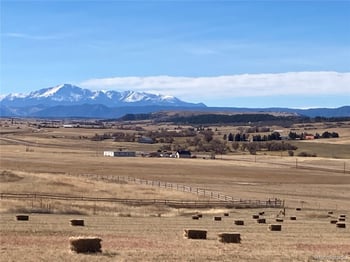 10440 Lucas Ave, Franktown, CO 80116