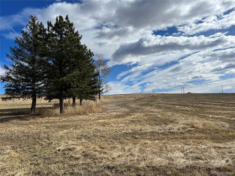 10440 Lucas Ave, Franktown, CO 80116