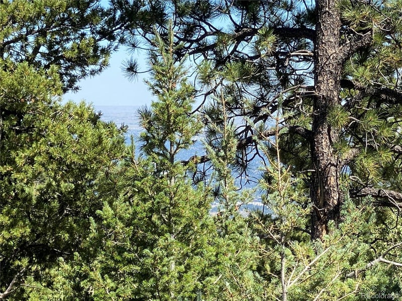 156 Big Bear, Manitou Springs, CO 80829