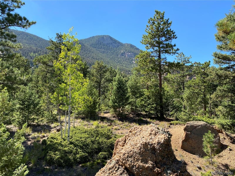156 Big Bear, Manitou Springs, CO 80829