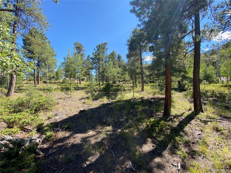156 Big Bear, Manitou Springs, CO 80829