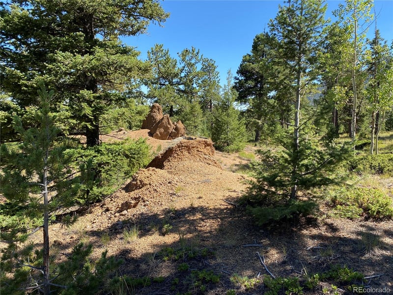 156 Big Bear, Manitou Springs, CO 80829