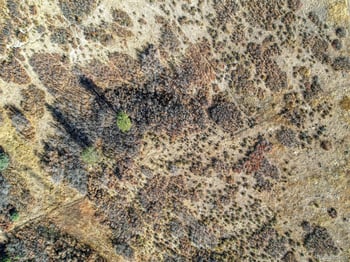 5053 Crowfoot Valley Rd, Castle Rock, CO 80108