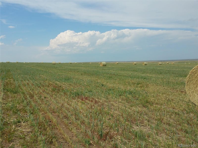Cr, Agate, CO 80101