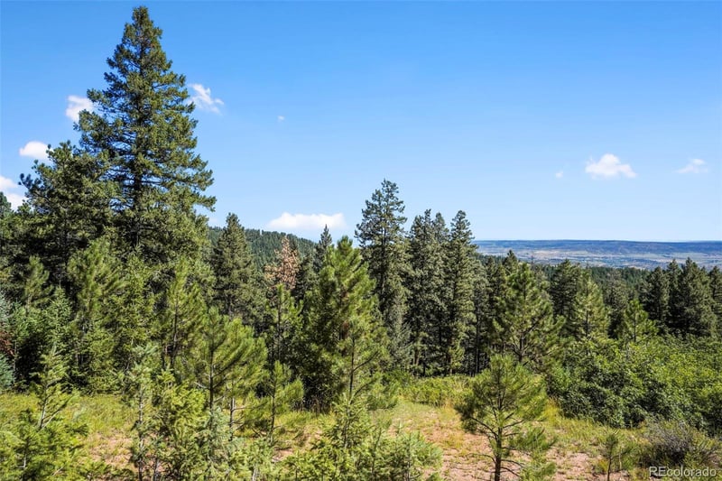 Madge Gulch Rd, Sedalia, CO 80135