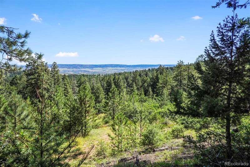 Madge Gulch Rd, Sedalia, CO 80135