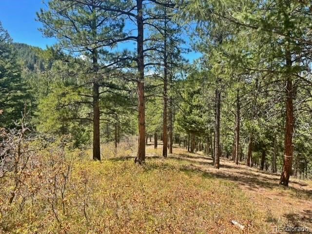Madge Gulch Rd, Sedalia, CO 80135