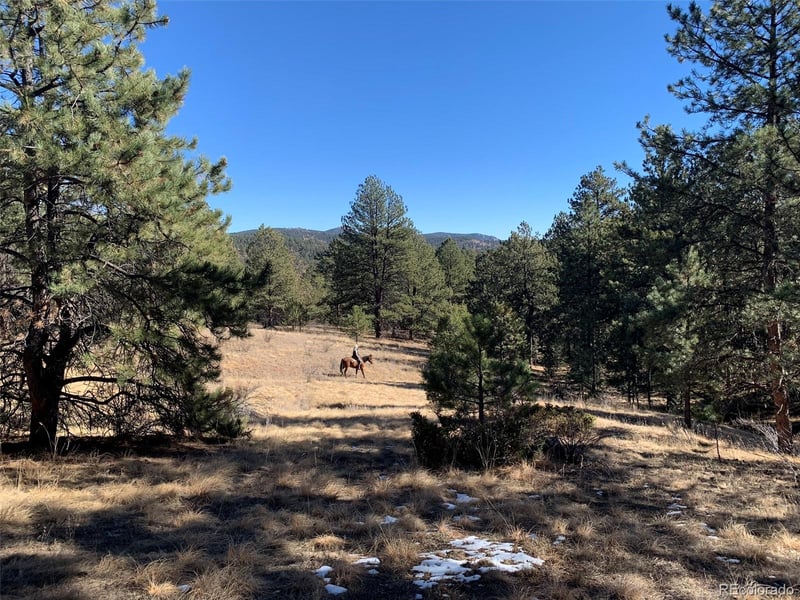 12999 S Parker Ave, Pine, CO 80470