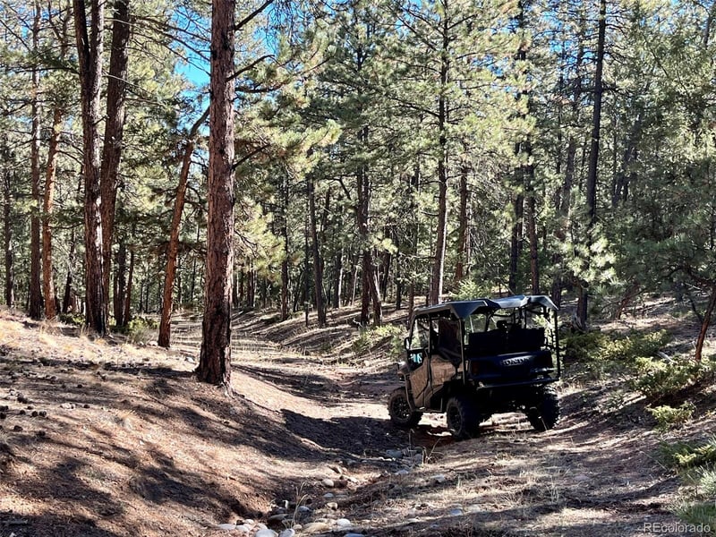 12999 S Parker Ave, Pine, CO 80470