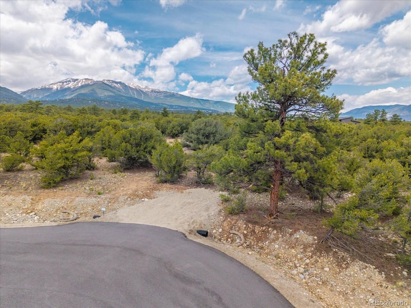 29266 Timber Rg, Buena Vista, CO 81211