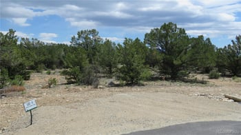 28922 Timber Rg, Buena Vista, CO 81211