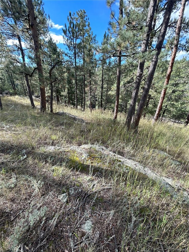 5233 Road A, Evergreen, CO 80439