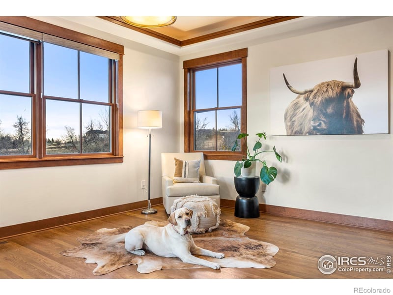 895 Paragon Dr, Boulder, CO 80303
