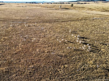 6520 Ropers Point, Colorado Springs, CO 80908