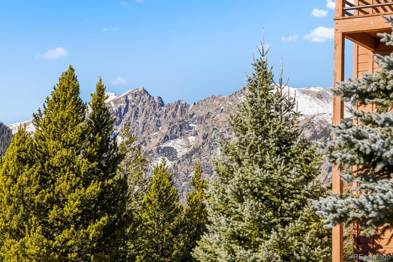 91400 Ryan Gulch Rd #91409, Silverthorne, CO 80498