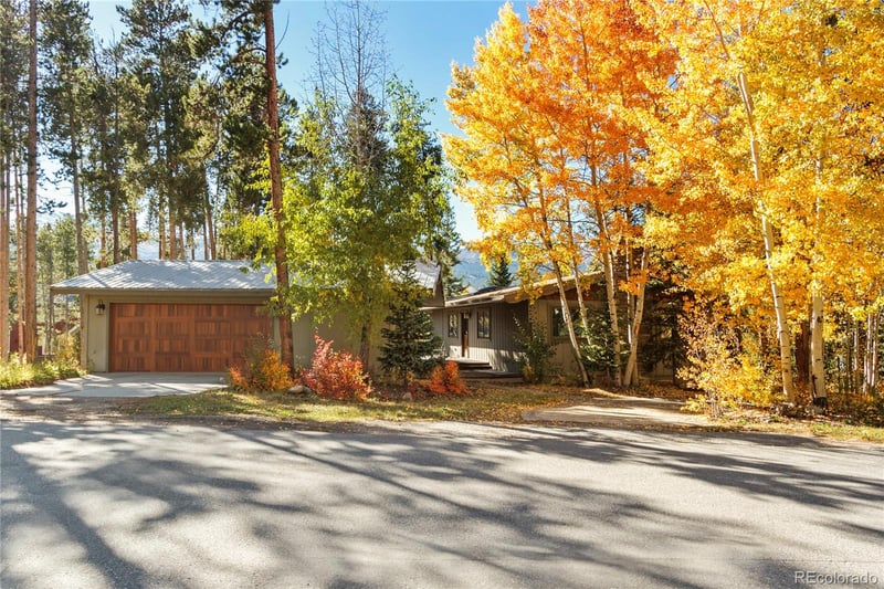 107 N Pine St, Breckenridge, CO 80424