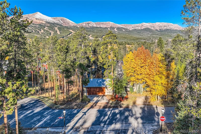 107 N Pine St, Breckenridge, CO 80424
